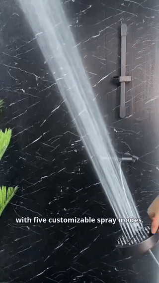 PowerFlow Adjustable High Pressure Shower Head