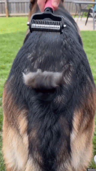 Dual-Edge Pet Grooming Comb
