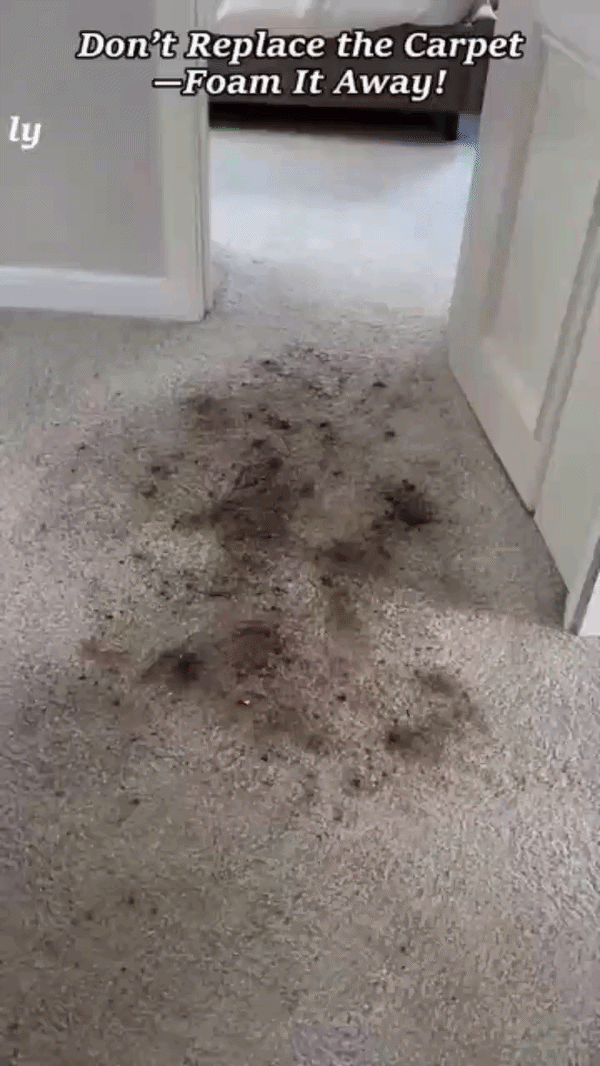 FreshLift Carpet and Upholstery Foam Cleaner